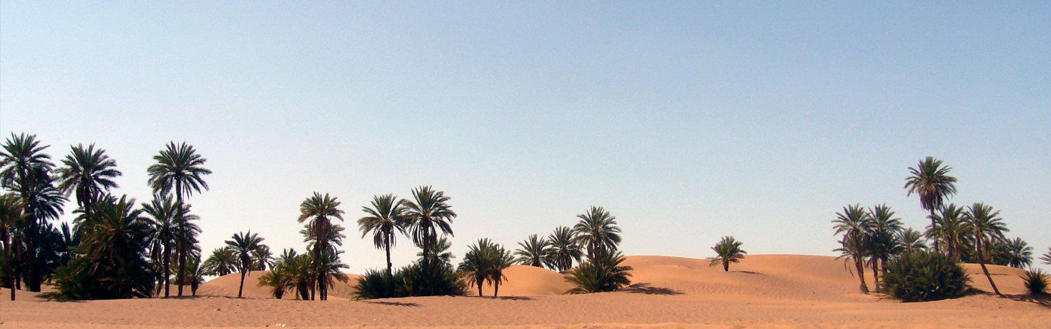 Le désert marocain - Villa Zagora
